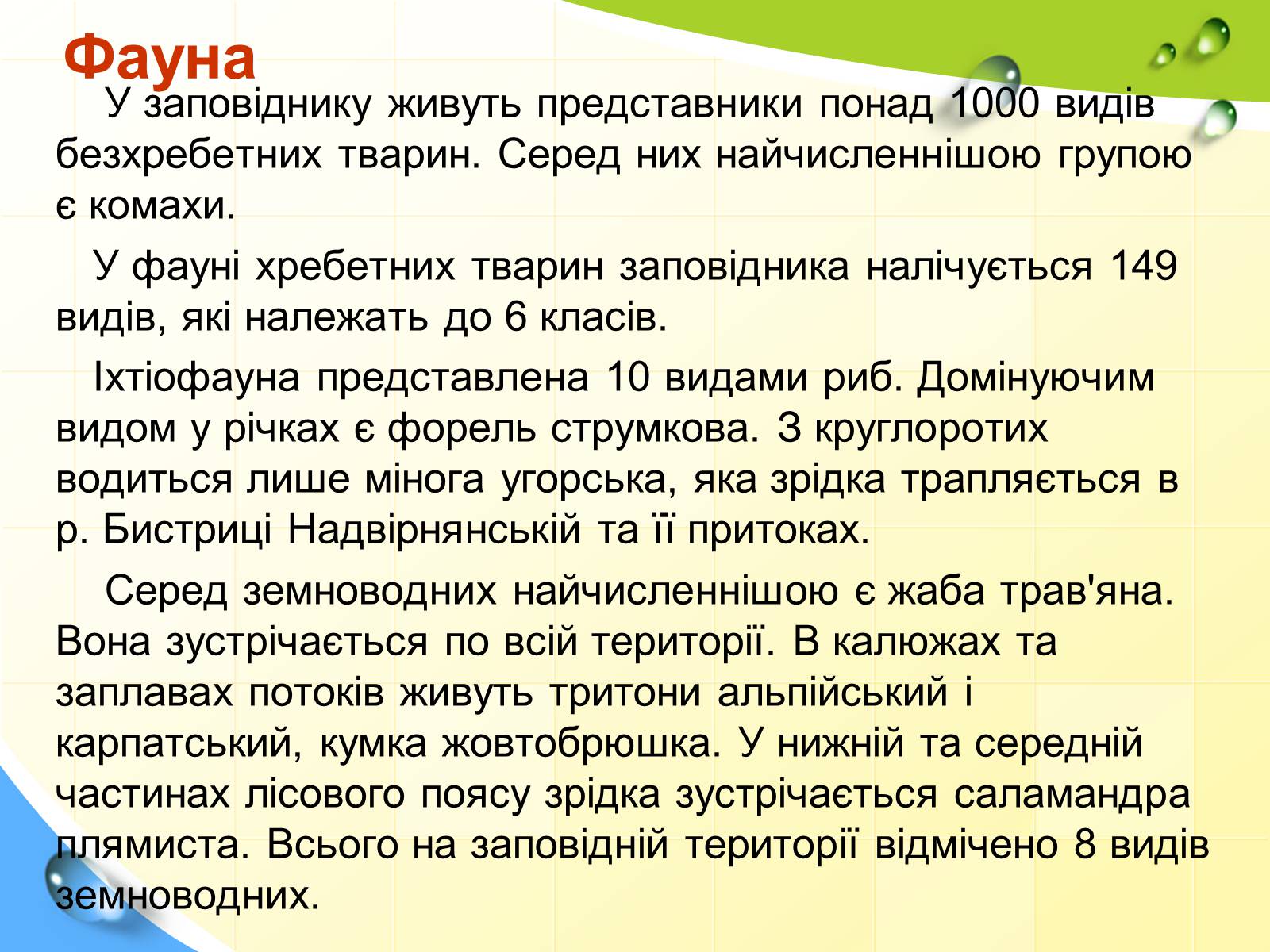 Презентація на тему «Природні заповідники України» (варіант 5) - Слайд #7 Презентація на тему «Природні заповідники України» (варіант 5) - Слайд #7