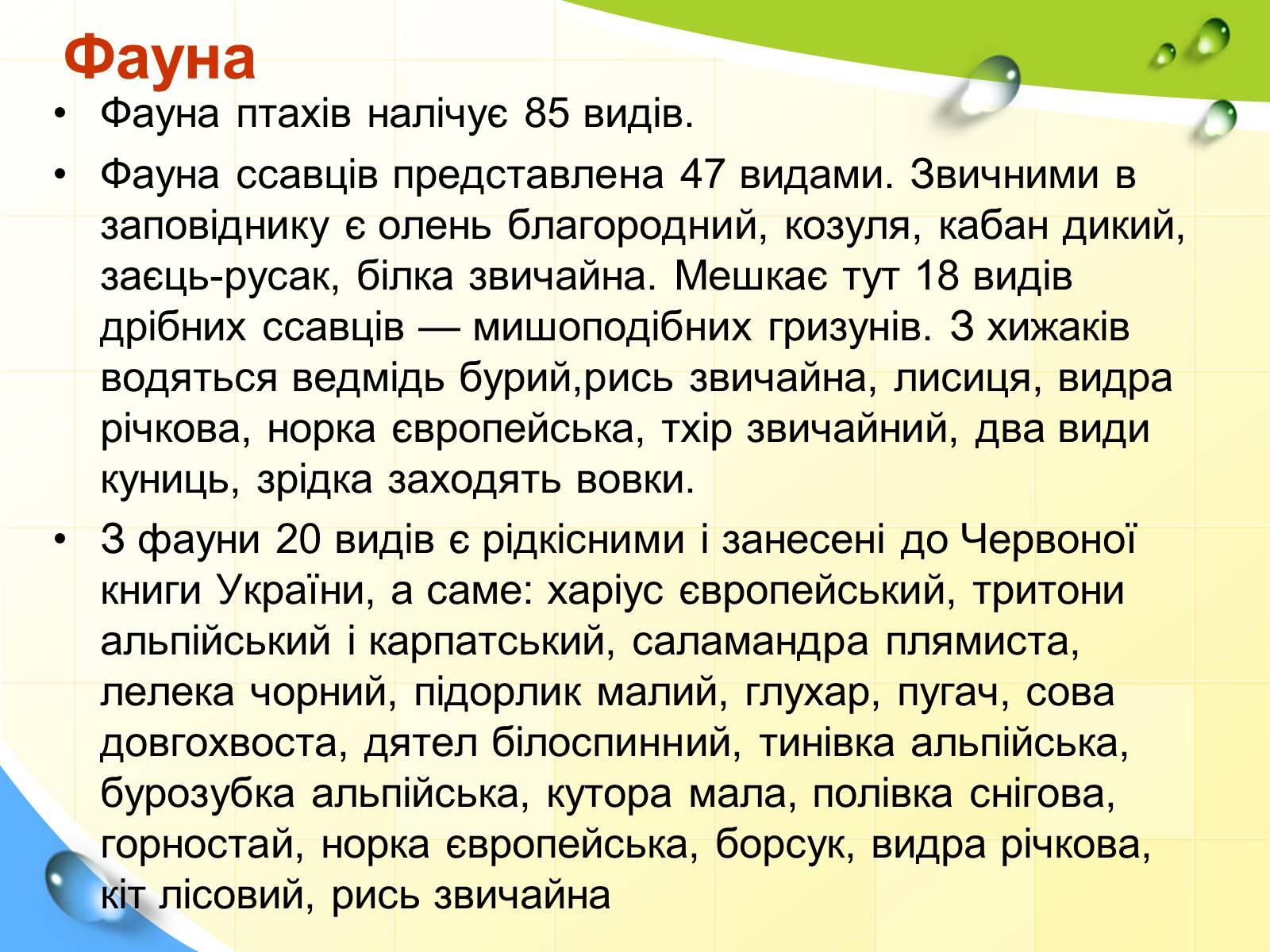 Презентація на тему «Природні заповідники України» (варіант 5) - Слайд #8 Презентація на тему «Природні заповідники України» (варіант 5) - Слайд #8