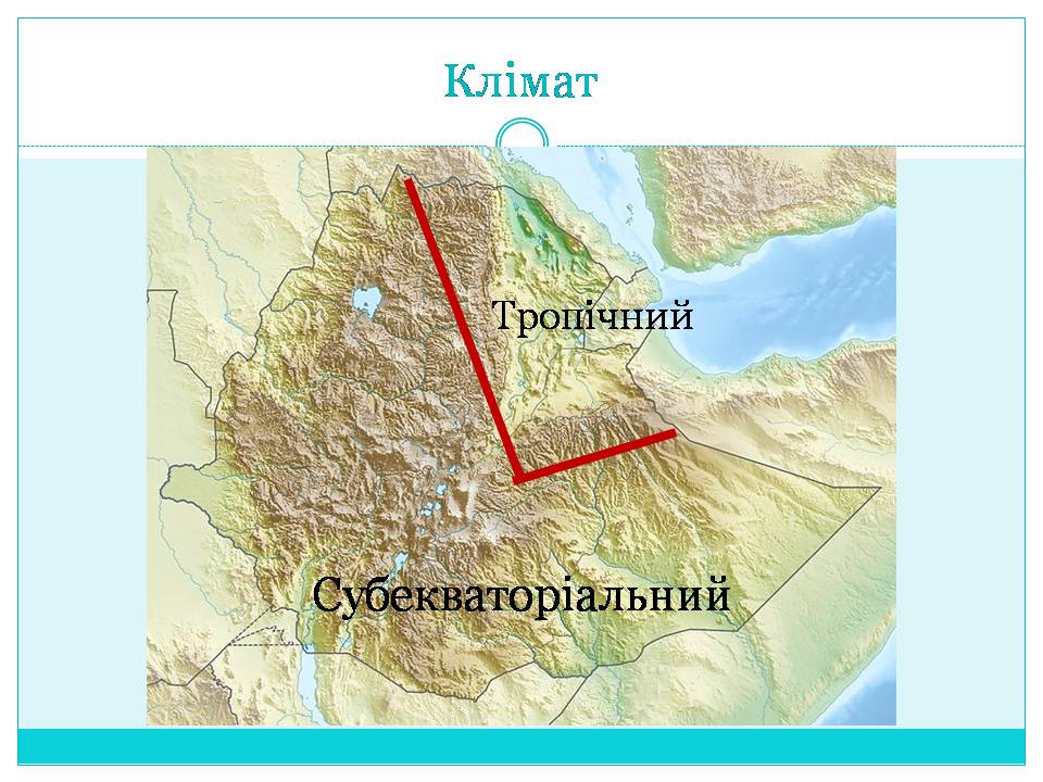 Презентація на тему «Країни Східної Африки: Ефіопія» - Слайд #10 Презентація на тему «Країни Східної Африки: Ефіопія» - Слайд #10