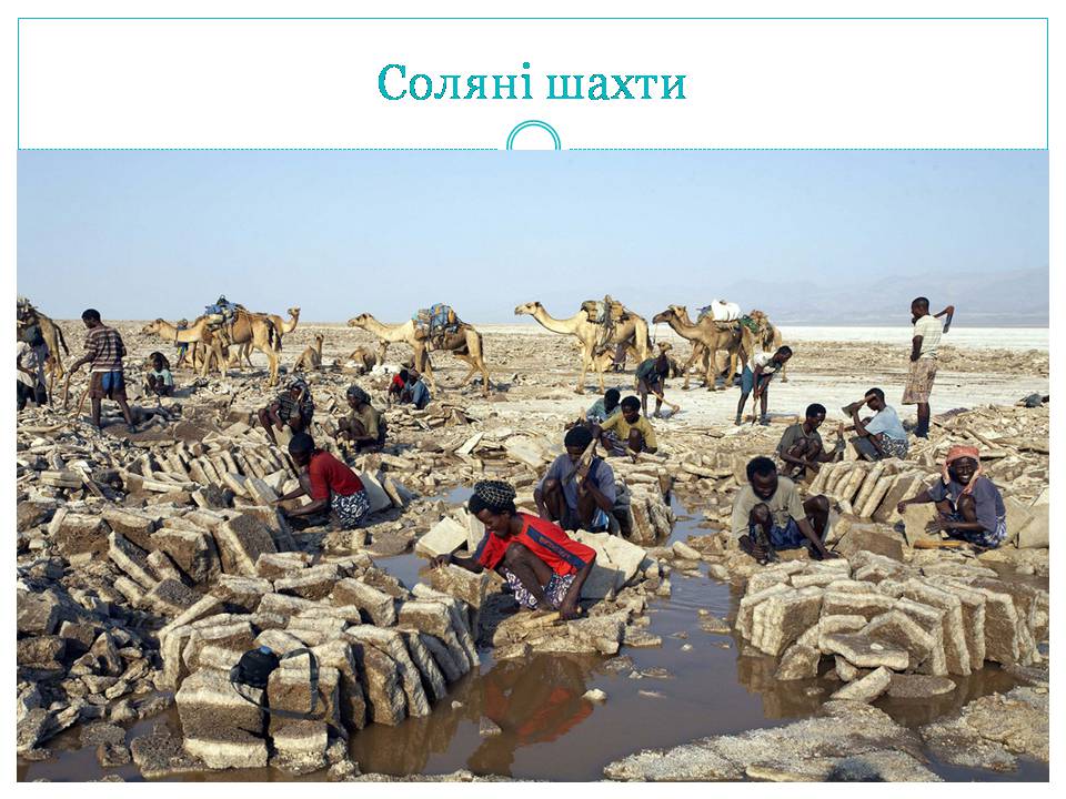 Презентація на тему «Країни Східної Африки: Ефіопія» - Слайд #18 Презентація на тему «Країни Східної Африки: Ефіопія» - Слайд #18