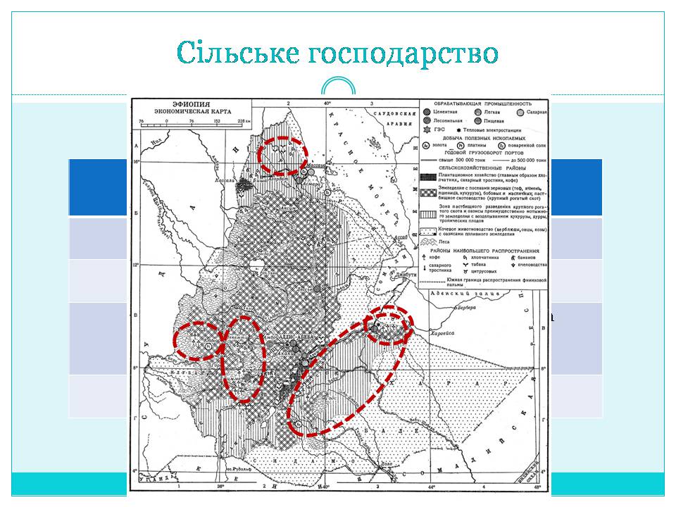 Презентація на тему «Країни Східної Африки: Ефіопія» - Слайд #19 Презентація на тему «Країни Східної Африки: Ефіопія» - Слайд #19