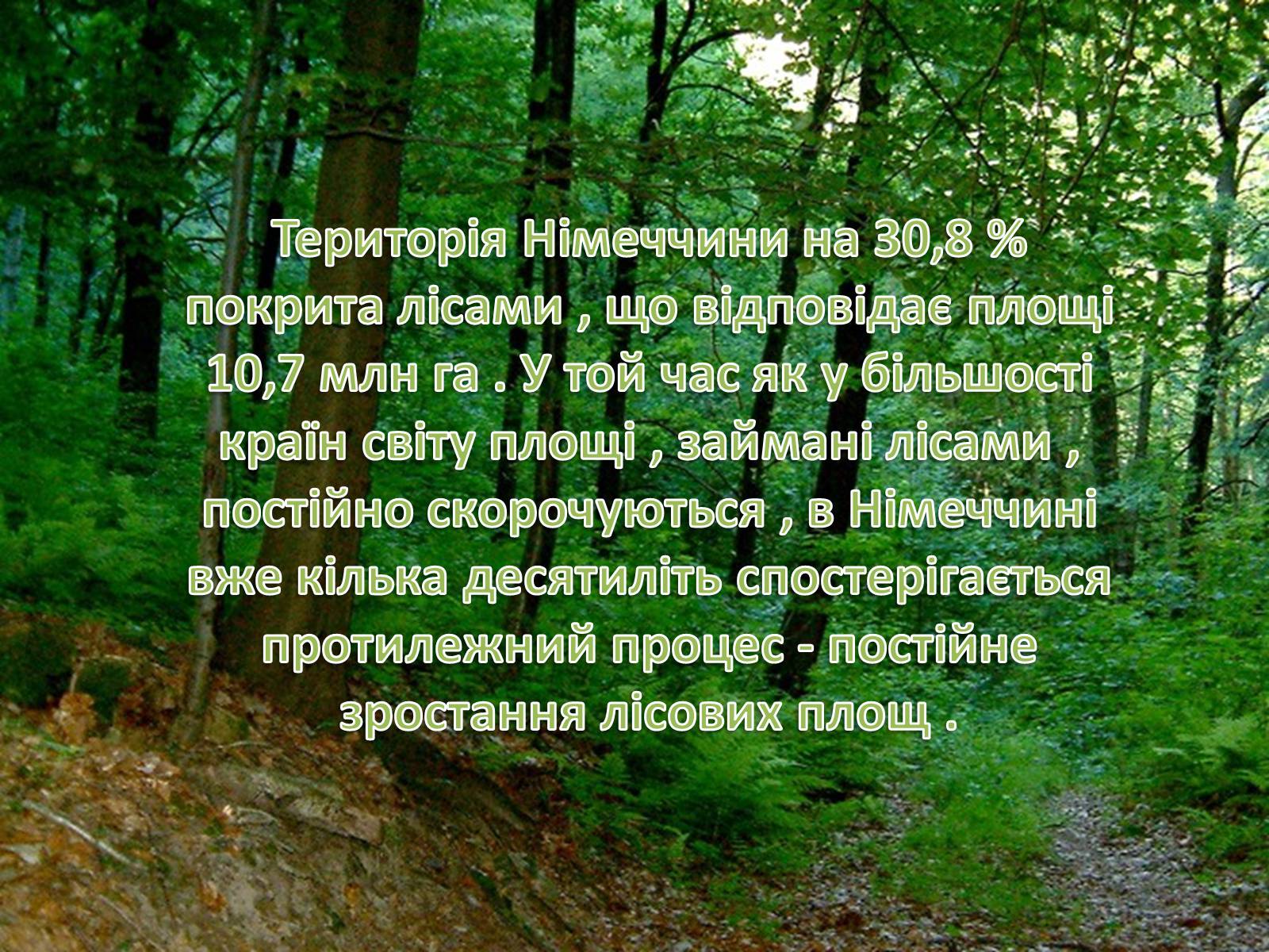 Презентація на тему «Природні умови, клімат і природні ресурси Німеччини» - Слайд #21 Презентація на тему «Природні умови, клімат і природні ресурси Німеччини» - Слайд #21