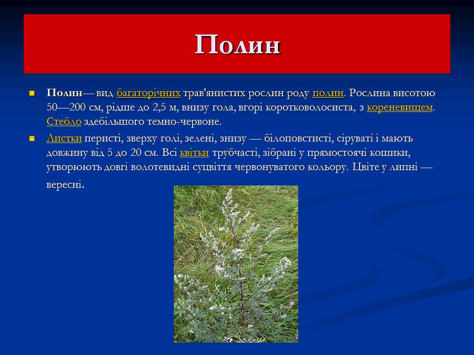 Презентація на тему «Північна Америка» (варіант 9) - Слайд #11 Презентація на тему «Північна Америка» (варіант 9) - Слайд #11