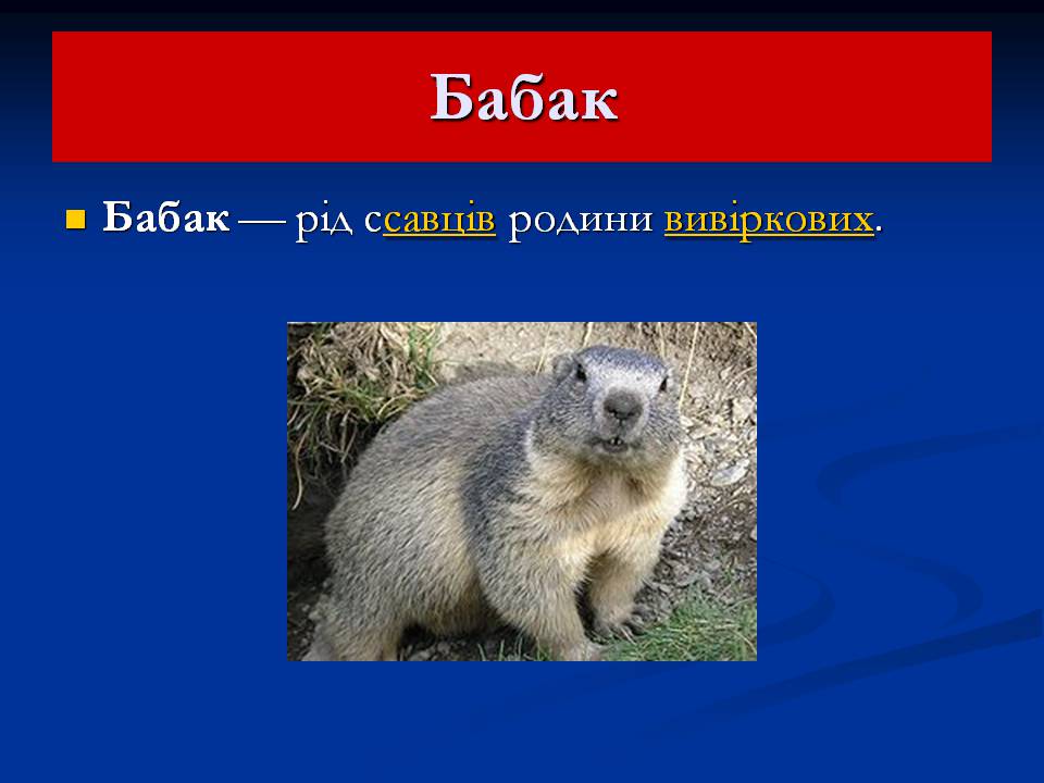Презентація на тему «Північна Америка» (варіант 9) - Слайд #6 Презентація на тему «Північна Америка» (варіант 9) - Слайд #6