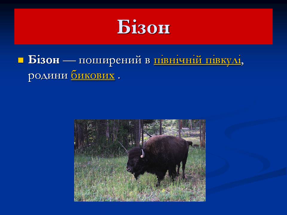 Презентація на тему «Північна Америка» (варіант 9) - Слайд #8 Презентація на тему «Північна Америка» (варіант 9) - Слайд #8