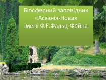 Презентація на тему «Асканія Нова» (варіант 5)