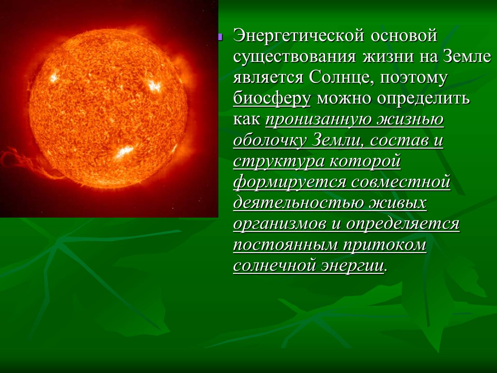 Презентація на тему «Биосфера» (варіант 1) - Слайд #14 Презентація на тему «Биосфера» (варіант 1) - Слайд #14