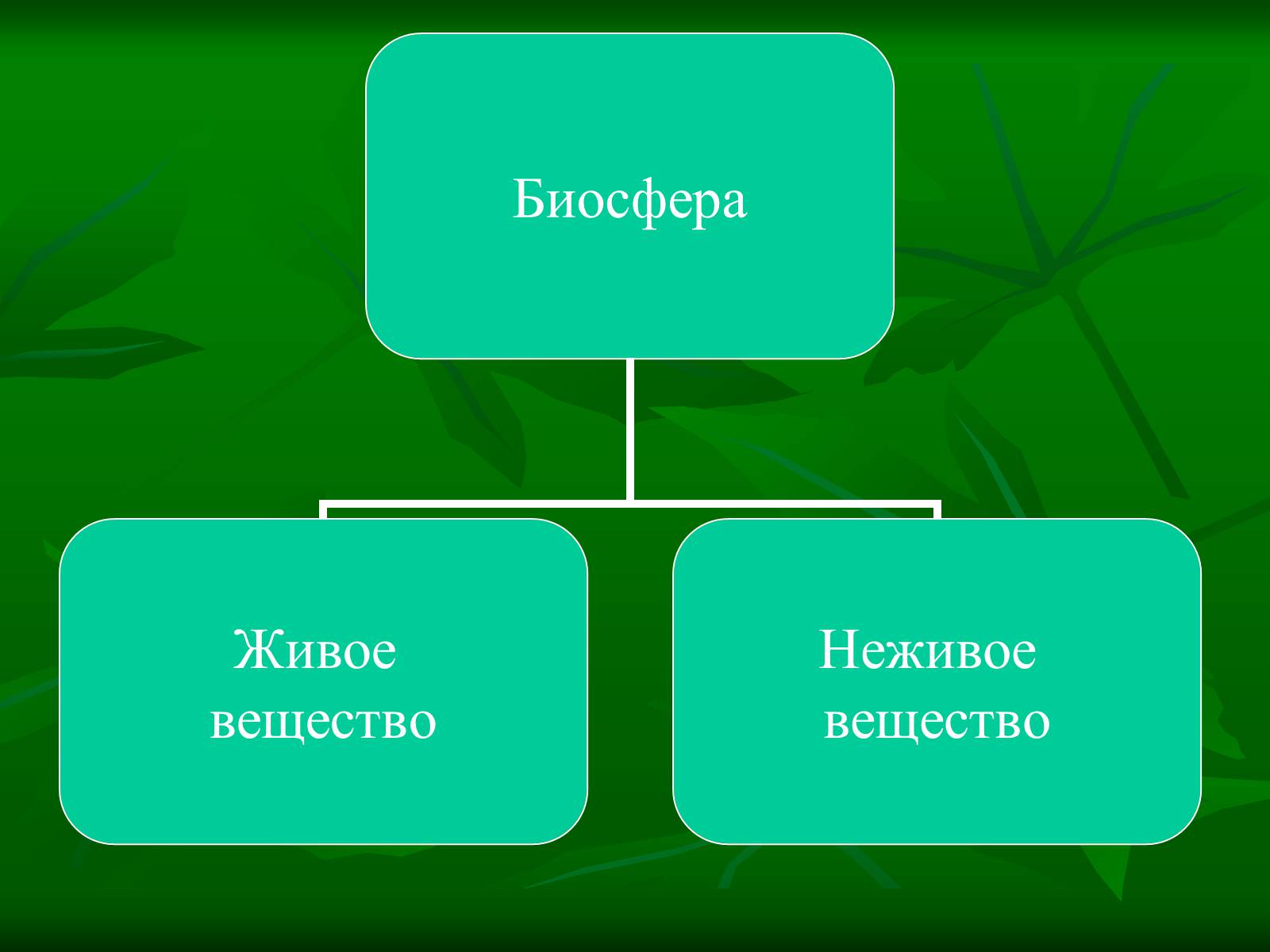 Презентація на тему «Биосфера» (варіант 1) - Слайд #16 Презентація на тему «Биосфера» (варіант 1) - Слайд #16