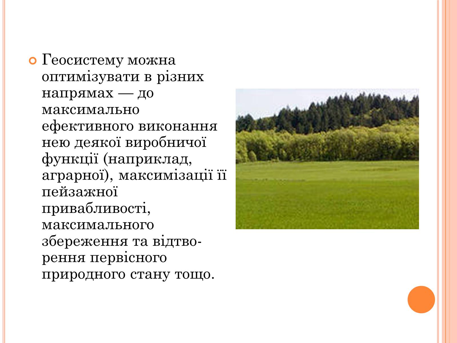 Презентація на тему «Оптимальне співвідношення природних і господарських угідь» - Слайд #3 Презентація на тему «Оптимальне співвідношення природних і господарських угідь» - Слайд #3