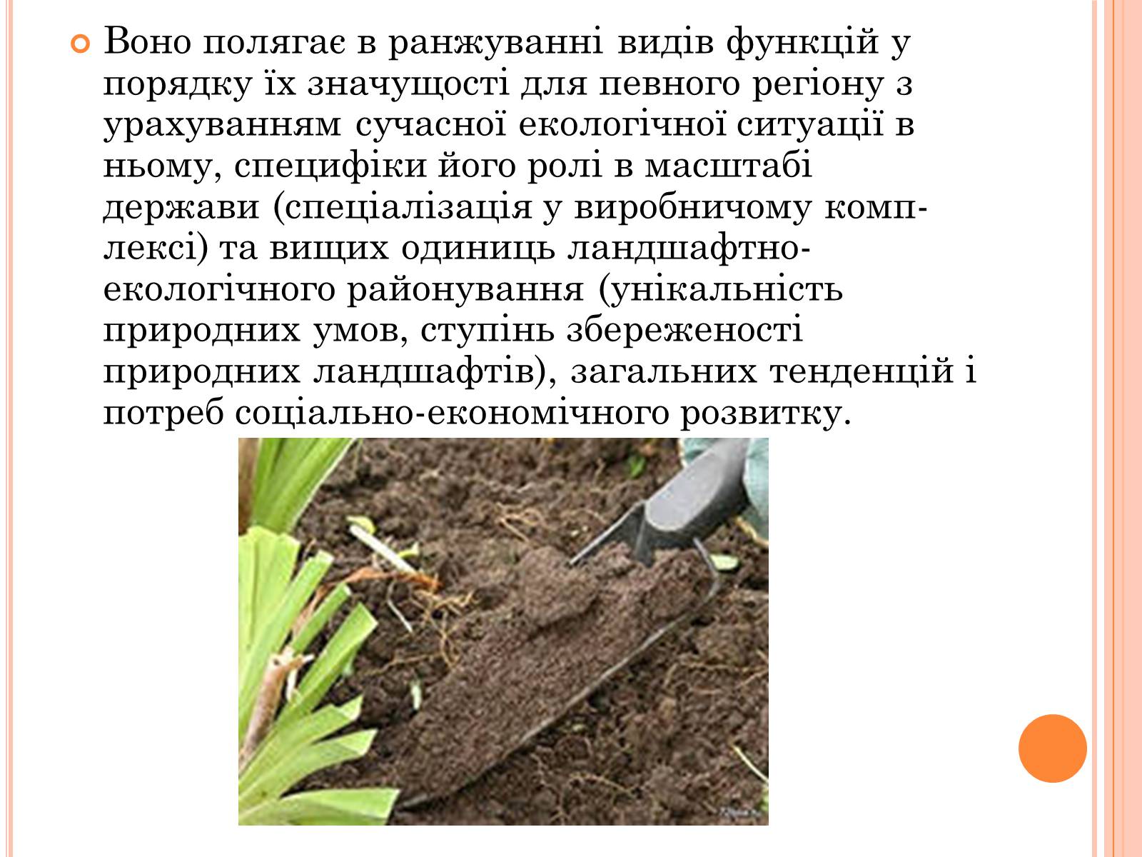 Презентація на тему «Оптимальне співвідношення природних і господарських угідь» - Слайд #5 Презентація на тему «Оптимальне співвідношення природних і господарських угідь» - Слайд #5