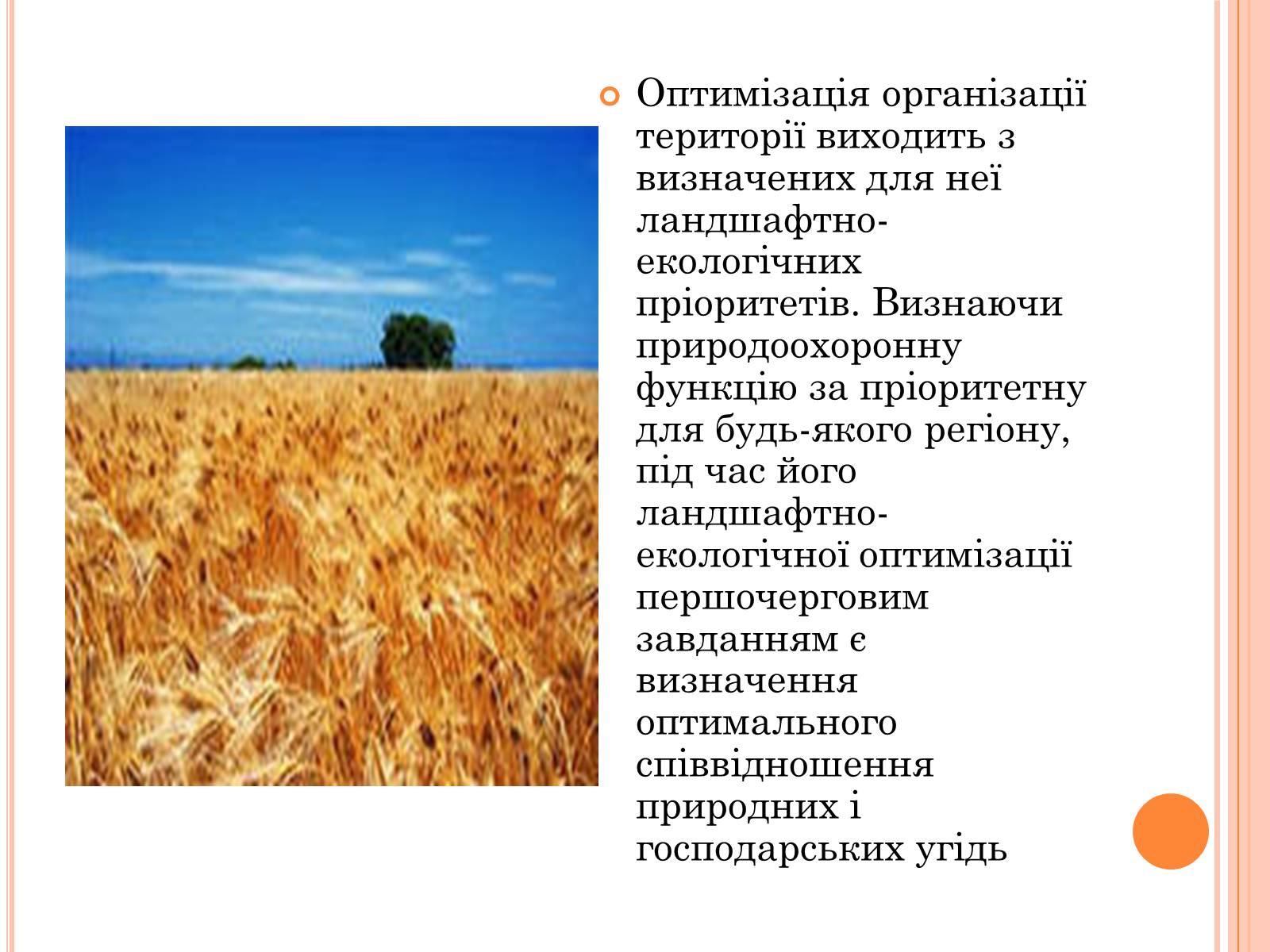 Презентація на тему «Оптимальне співвідношення природних і господарських угідь» - Слайд #6 Презентація на тему «Оптимальне співвідношення природних і господарських угідь» - Слайд #6