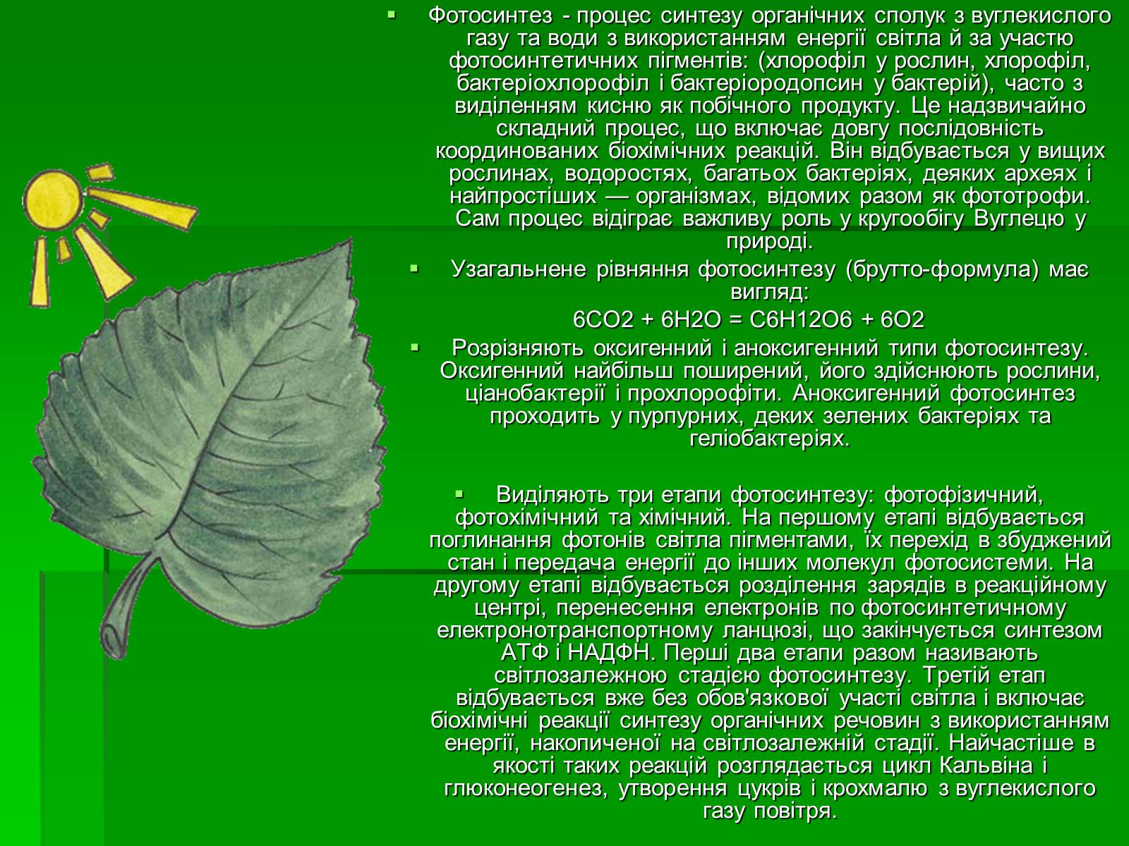 Презентація на тему «Ліс» - Слайд #14 Презентація на тему «Ліс» - Слайд #14