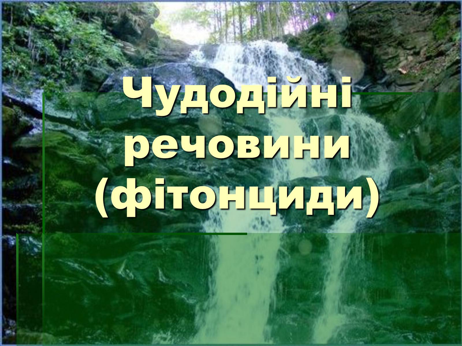 Презентація на тему «Ліс» - Слайд #17 Презентація на тему «Ліс» - Слайд #17