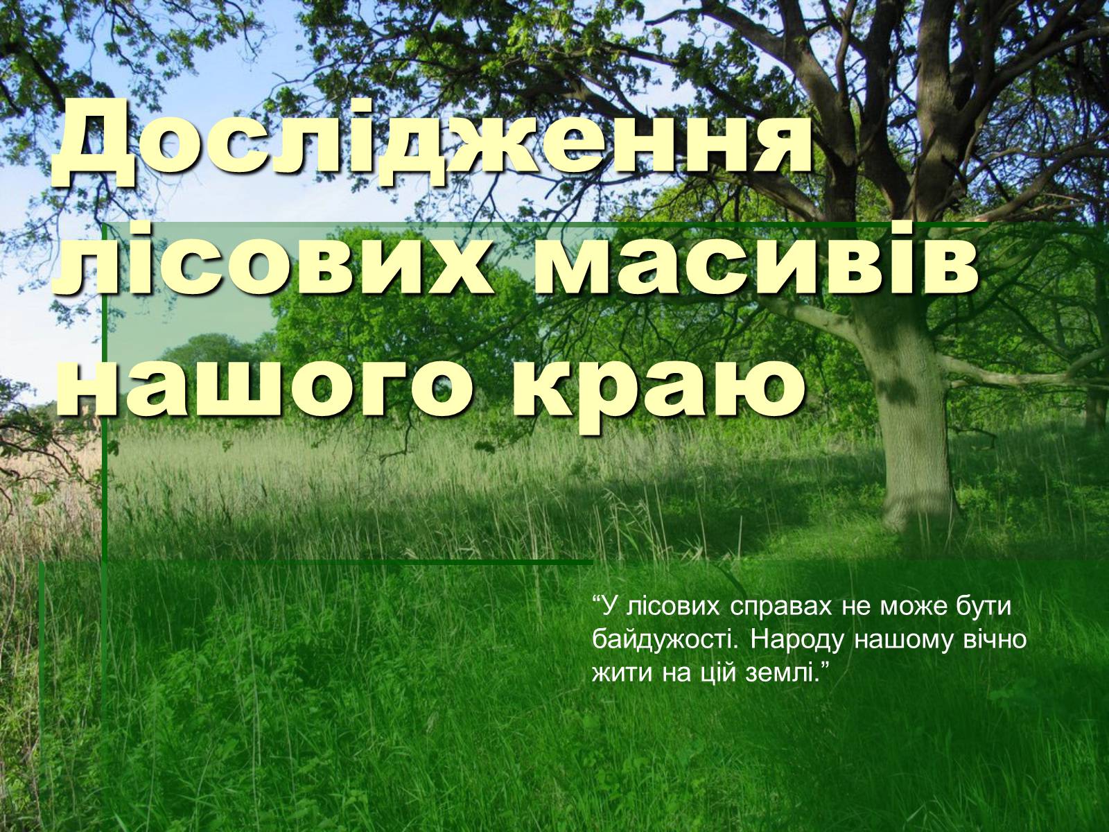 Презентація на тему «Ліс» - Слайд #3 Презентація на тему «Ліс» - Слайд #3