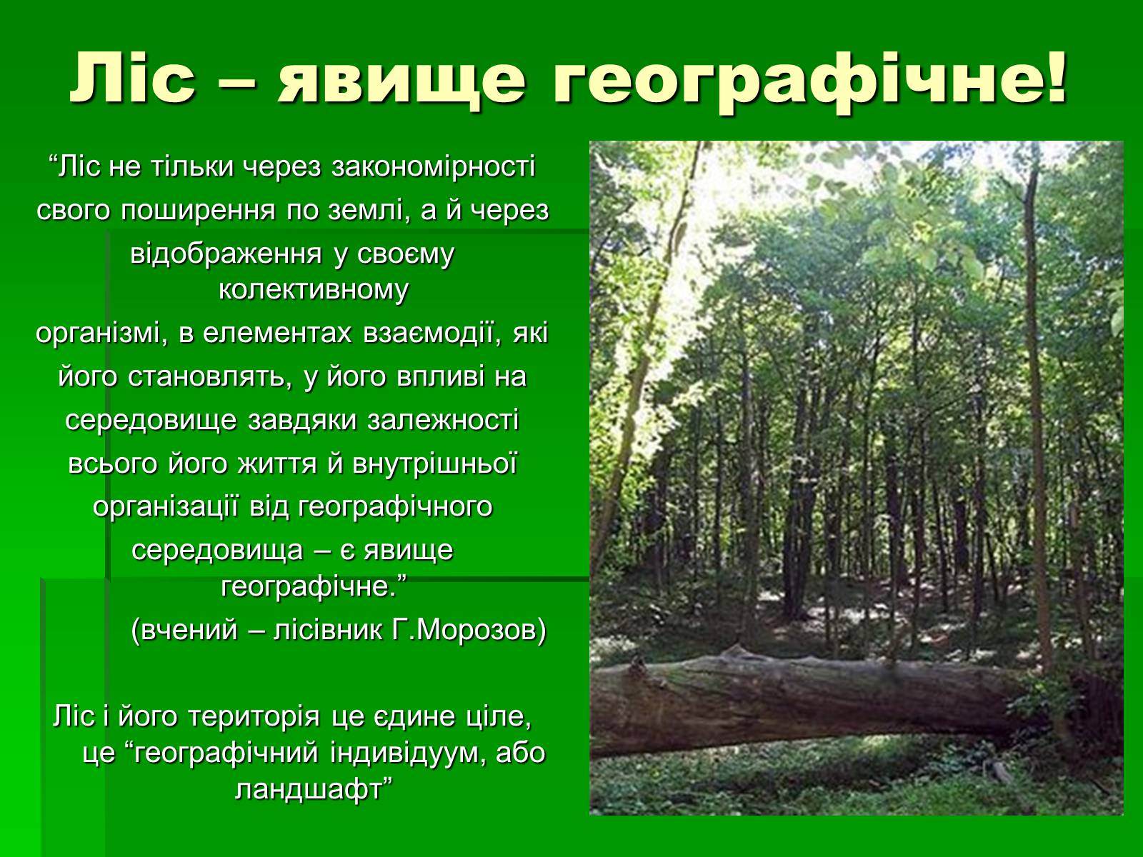 Презентація на тему «Ліс» - Слайд #4 Презентація на тему «Ліс» - Слайд #4