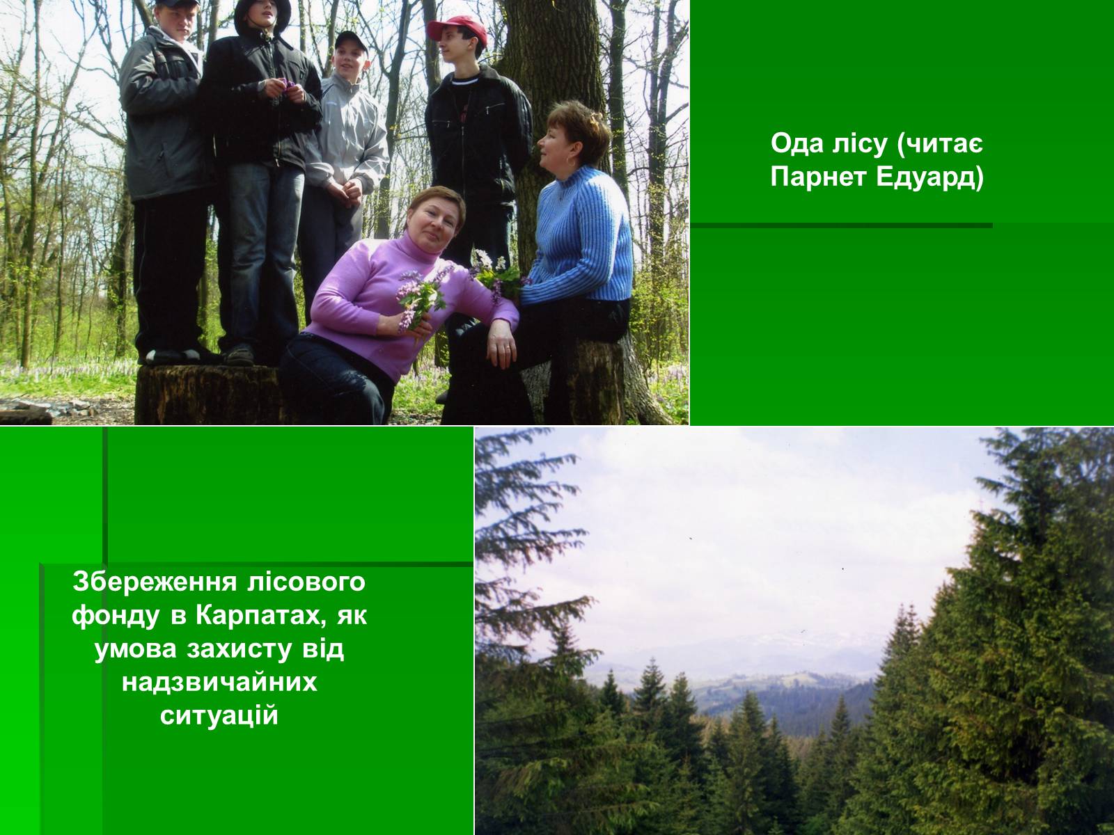 Презентація на тему «Ліс» - Слайд #7 Презентація на тему «Ліс» - Слайд #7