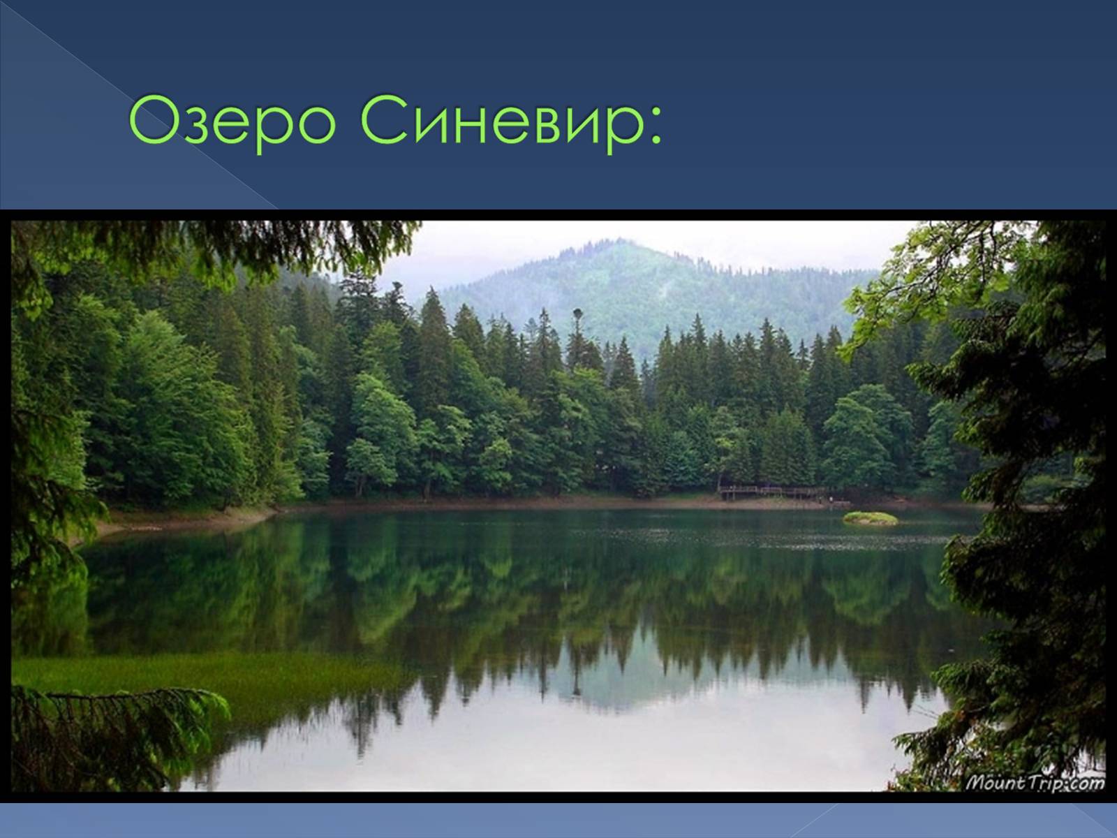 Презентація на тему «Українські Карпати» (варіант 9) - Слайд #16 Презентація на тему «Українські Карпати» (варіант 9) - Слайд #16