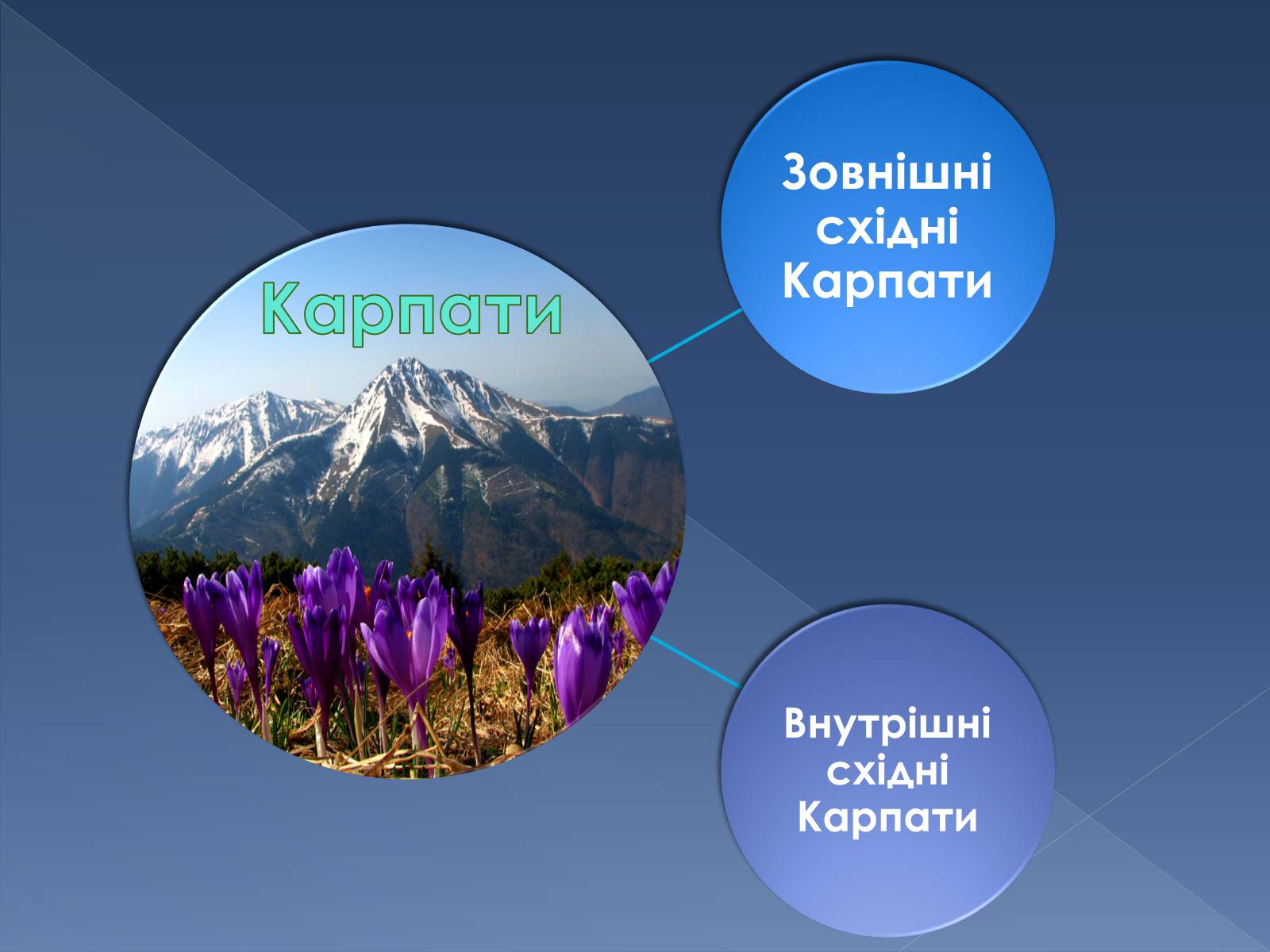 Презентація на тему «Українські Карпати» (варіант 9) - Слайд #2 Презентація на тему «Українські Карпати» (варіант 9) - Слайд #2