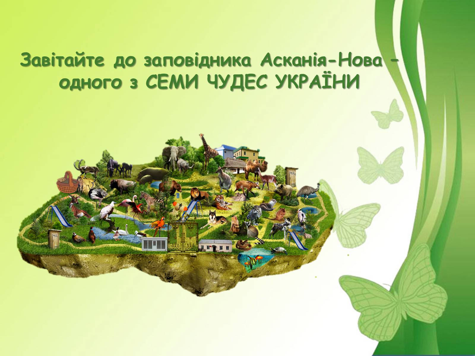 Презентація на тему «Біосферний заповідник Асканія-Нова» - Слайд #17 Презентація на тему «Біосферний заповідник Асканія-Нова» - Слайд #17