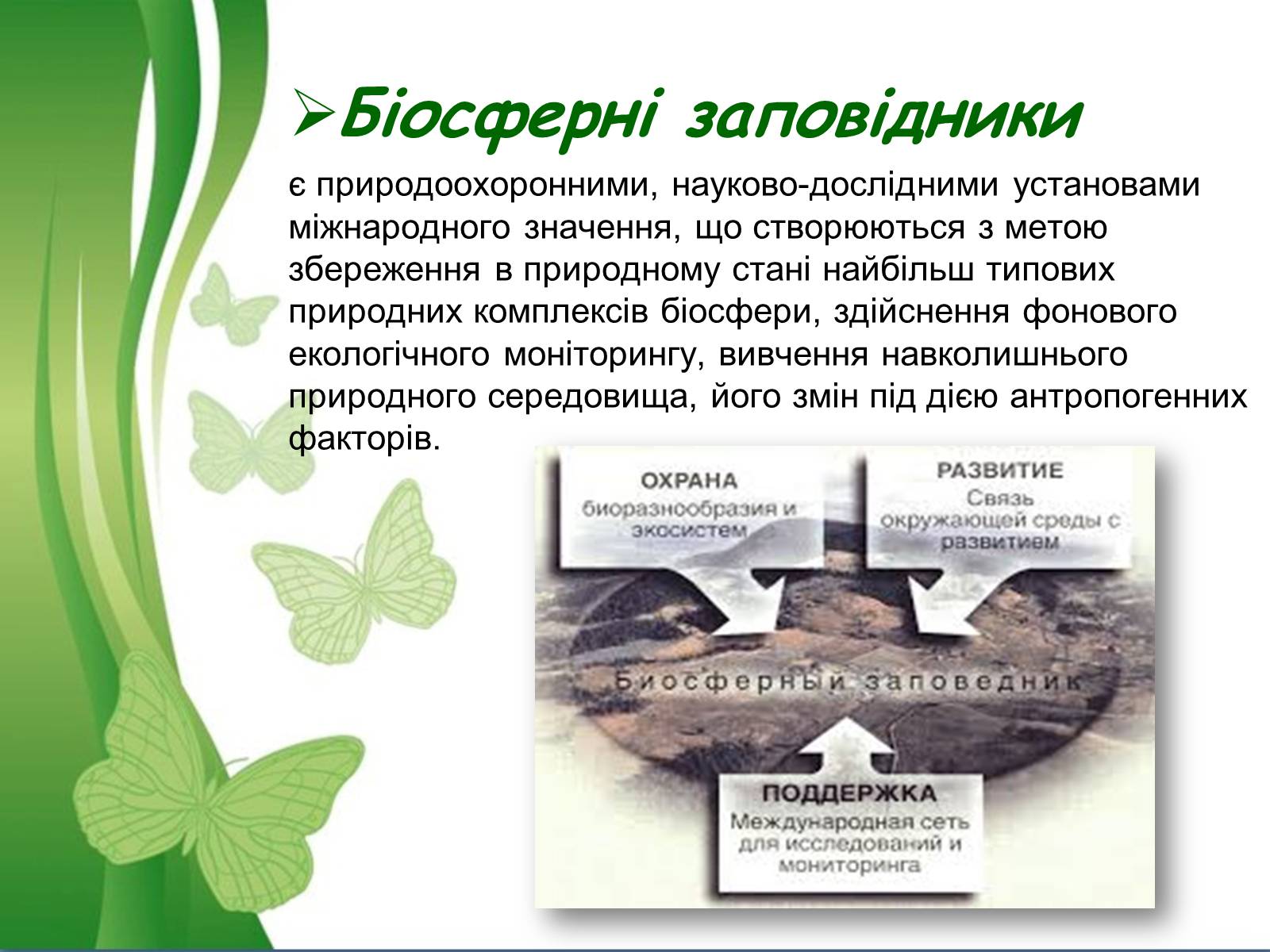 Презентація на тему «Біосферний заповідник Асканія-Нова» - Слайд #4 Презентація на тему «Біосферний заповідник Асканія-Нова» - Слайд #4