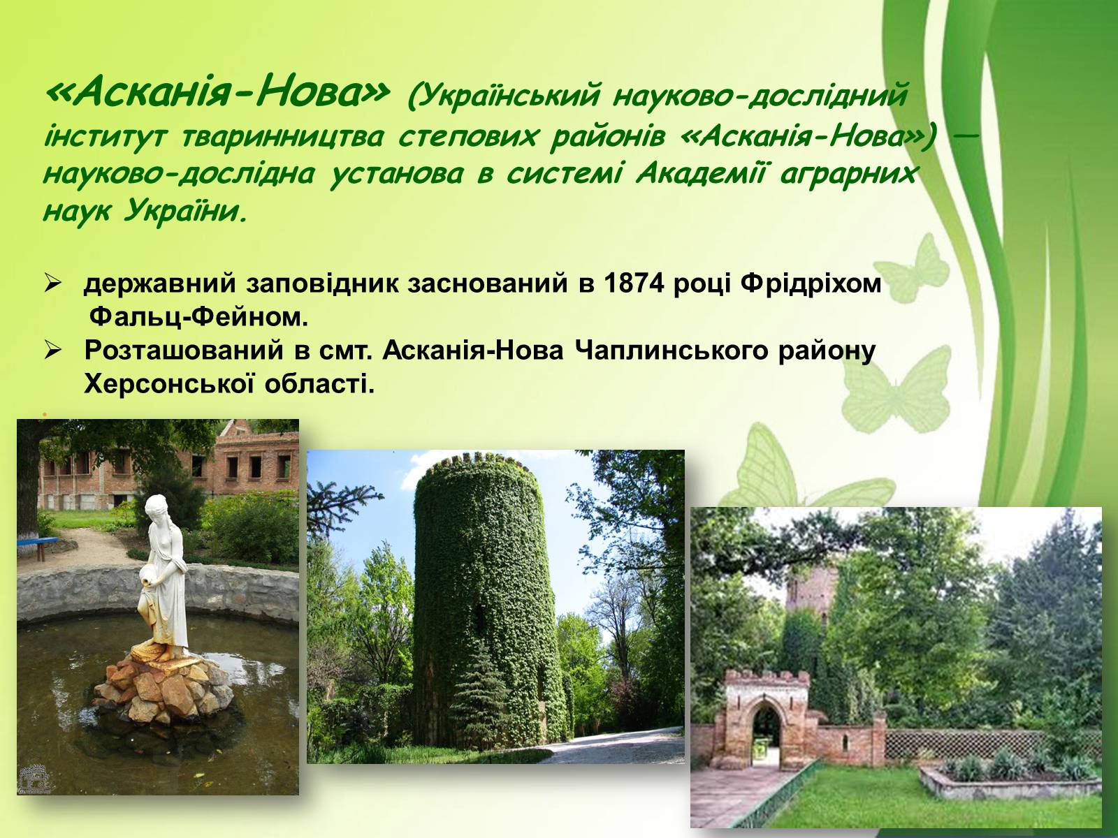 Презентація на тему «Біосферний заповідник Асканія-Нова» - Слайд #6 Презентація на тему «Біосферний заповідник Асканія-Нова» - Слайд #6