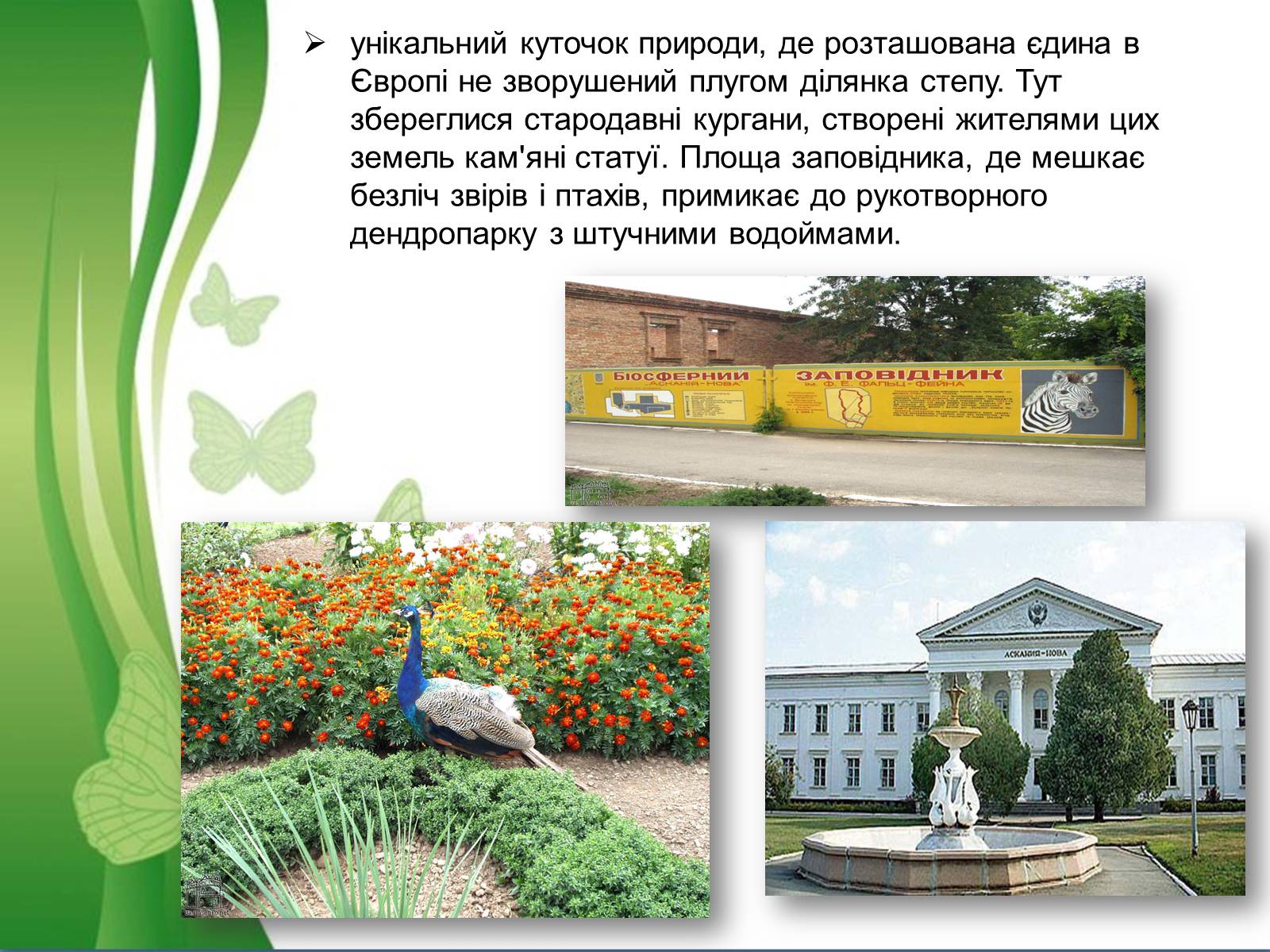 Презентація на тему «Біосферний заповідник Асканія-Нова» - Слайд #8 Презентація на тему «Біосферний заповідник Асканія-Нова» - Слайд #8