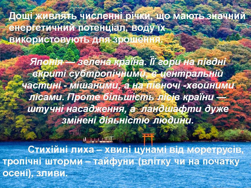 Презентація на тему «Японія» (варіант 54) - Слайд #10 Презентація на тему «Японія» (варіант 54) - Слайд #10