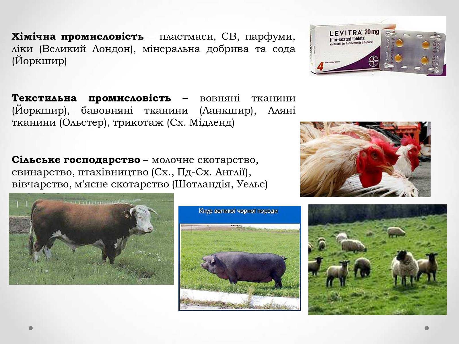 Презентація на тему «Великобританія» (варіант 1) - Слайд #24 Презентація на тему «Великобританія» (варіант 1) - Слайд #24