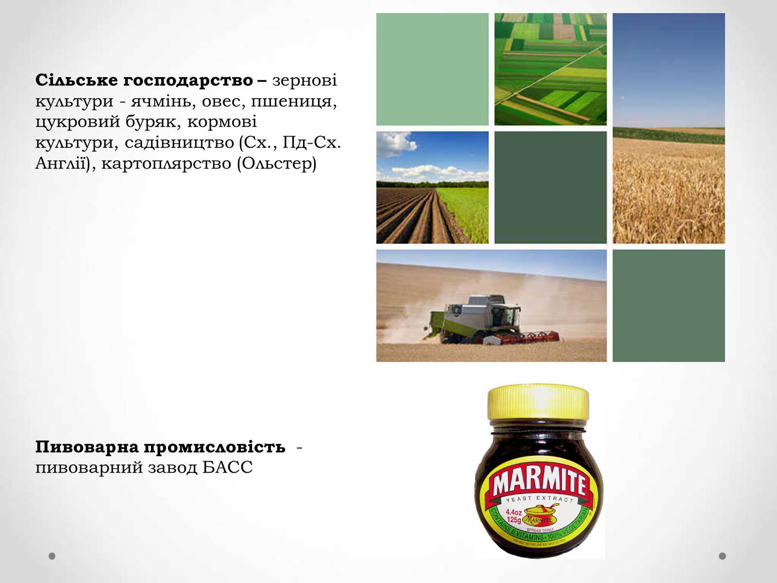 Презентація на тему «Великобританія» (варіант 1) - Слайд #25 Презентація на тему «Великобританія» (варіант 1) - Слайд #25