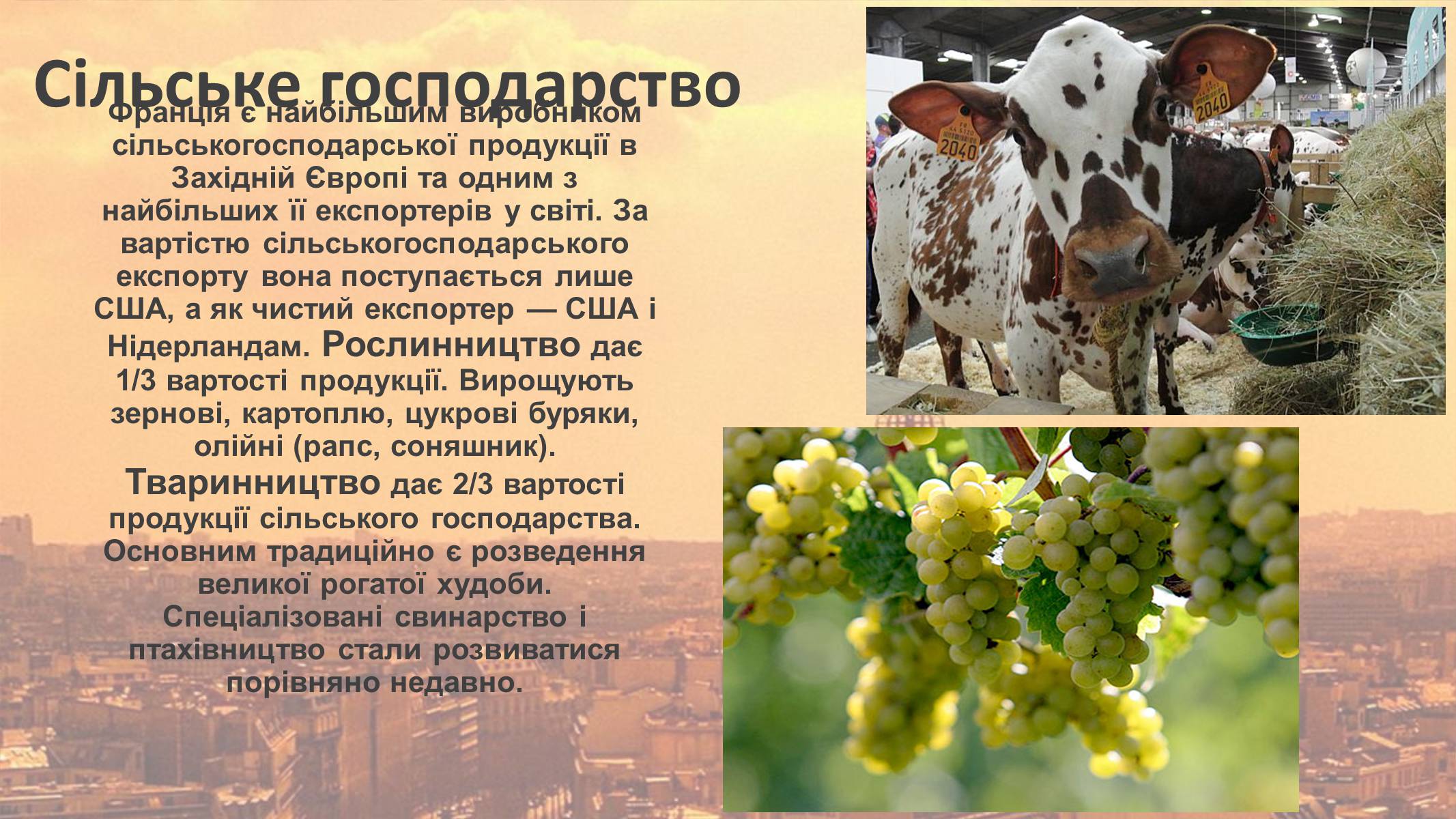 Презентація на тему «Франція» (варіант 12) - Слайд #14 Презентація на тему «Франція» (варіант 12) - Слайд #14