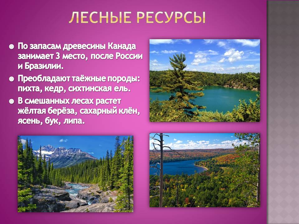 Презентація на тему «Канада» (варіант 32) - Слайд #12 Презентація на тему «Канада» (варіант 32) - Слайд #12