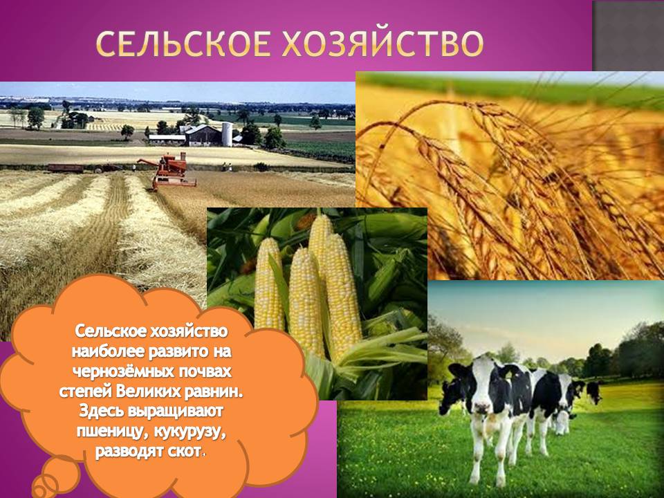 Презентація на тему «Канада» (варіант 32) - Слайд #16 Презентація на тему «Канада» (варіант 32) - Слайд #16