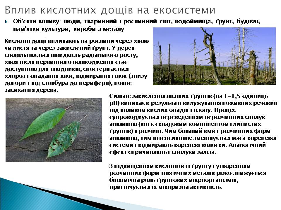Презентація на тему «Кислотні дощі» (варіант 17) - Слайд #7 Презентація на тему «Кислотні дощі» (варіант 17) - Слайд #7