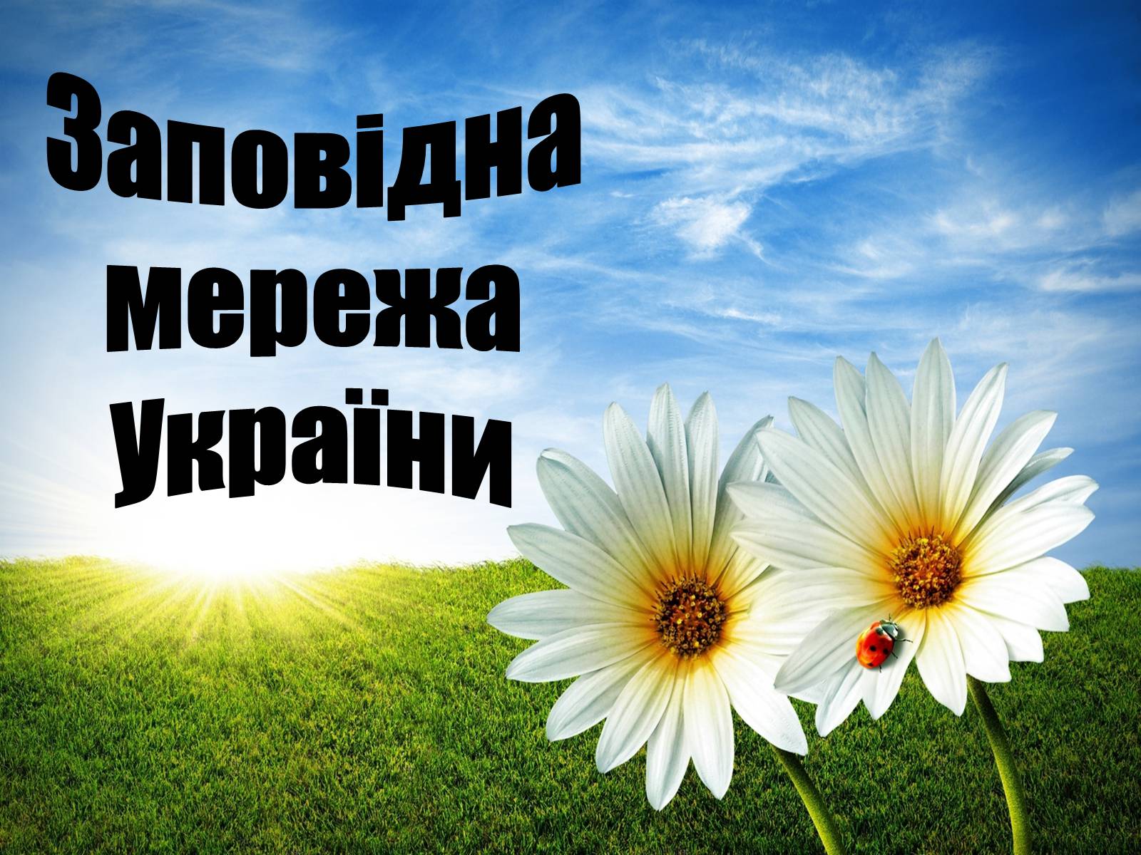 Презентація на тему «Заповідна мережа України» (варіант 4) - Слайд #1 Презентація на тему «Заповідна мережа України» (варіант 4) - Слайд #1