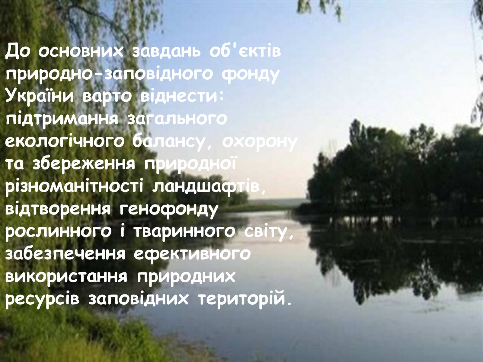 Презентація на тему «Заповідна мережа України» (варіант 4) - Слайд #12 Презентація на тему «Заповідна мережа України» (варіант 4) - Слайд #12