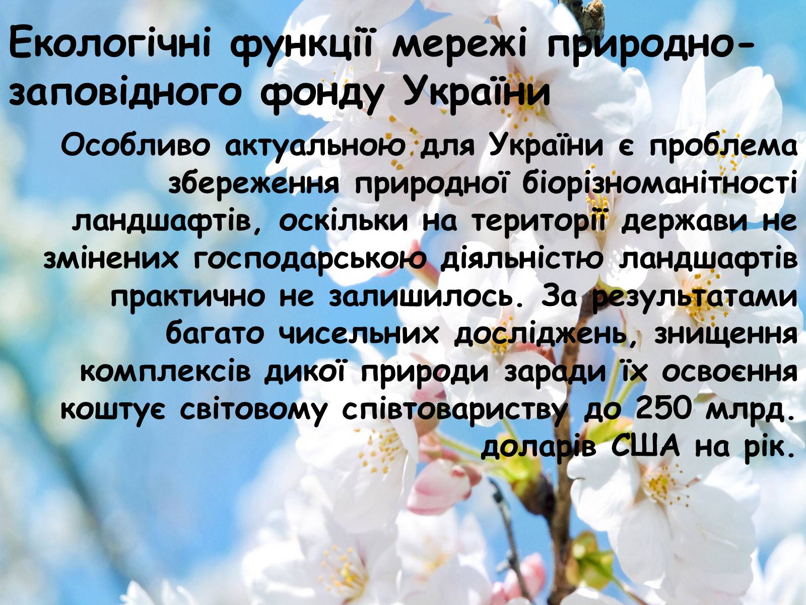 Презентація на тему «Заповідна мережа України» (варіант 4) - Слайд #14 Презентація на тему «Заповідна мережа України» (варіант 4) - Слайд #14