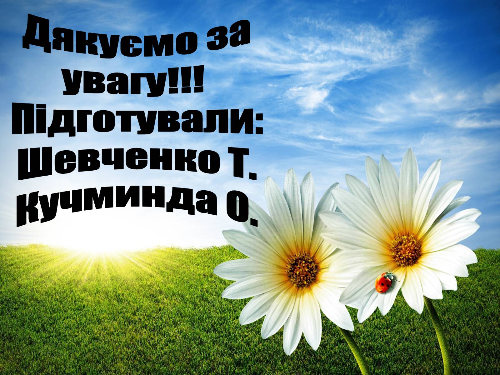 Презентація на тему «Заповідна мережа України» (варіант 4) - Слайд #20 Презентація на тему «Заповідна мережа України» (варіант 4) - Слайд #20