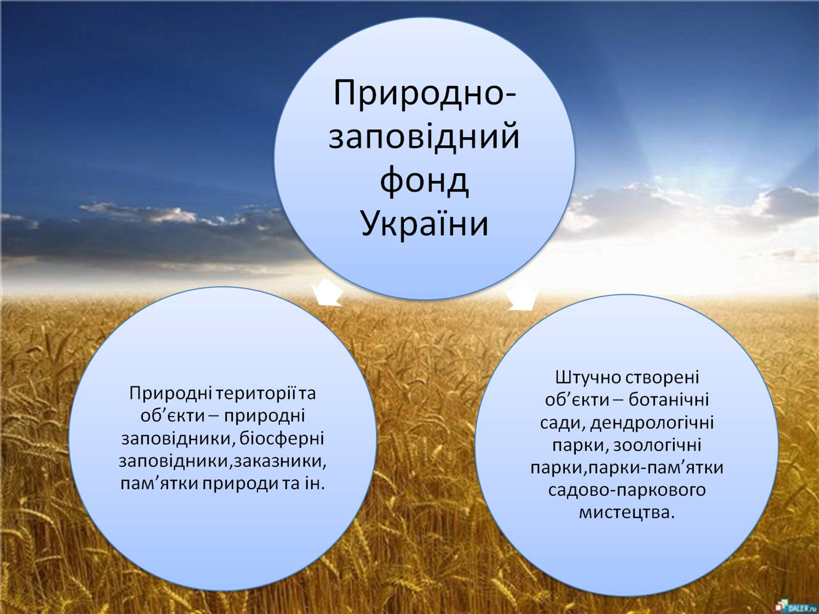 Презентація на тему «Заповідна мережа України» (варіант 4) - Слайд #3 Презентація на тему «Заповідна мережа України» (варіант 4) - Слайд #3