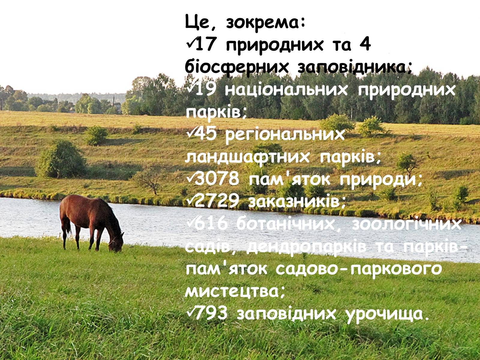 Презентація на тему «Заповідна мережа України» (варіант 4) - Слайд #8 Презентація на тему «Заповідна мережа України» (варіант 4) - Слайд #8