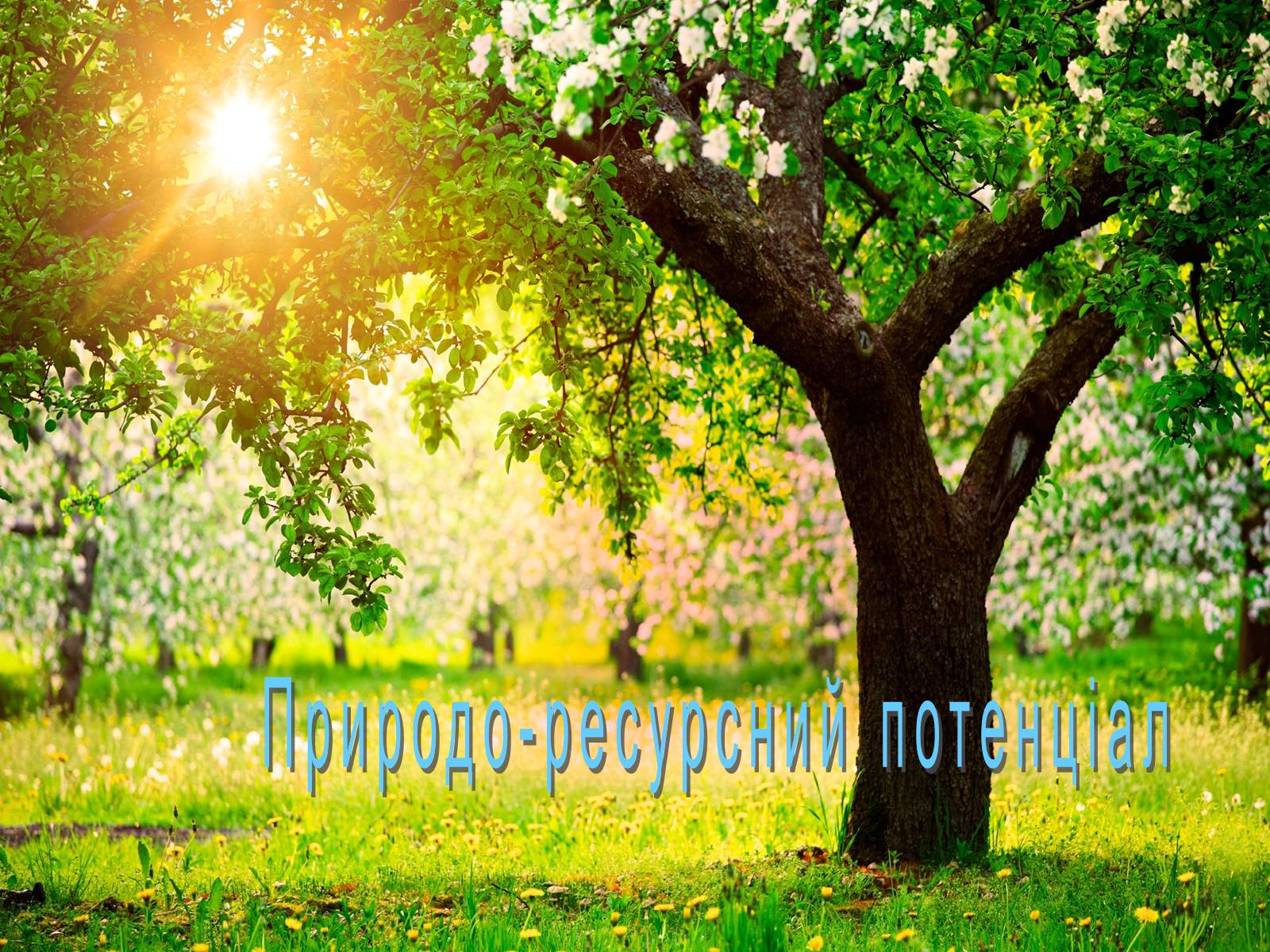 Презентація на тему «Білорусь» (варіант 6) - Слайд #5 Презентація на тему «Білорусь» (варіант 6) - Слайд #5