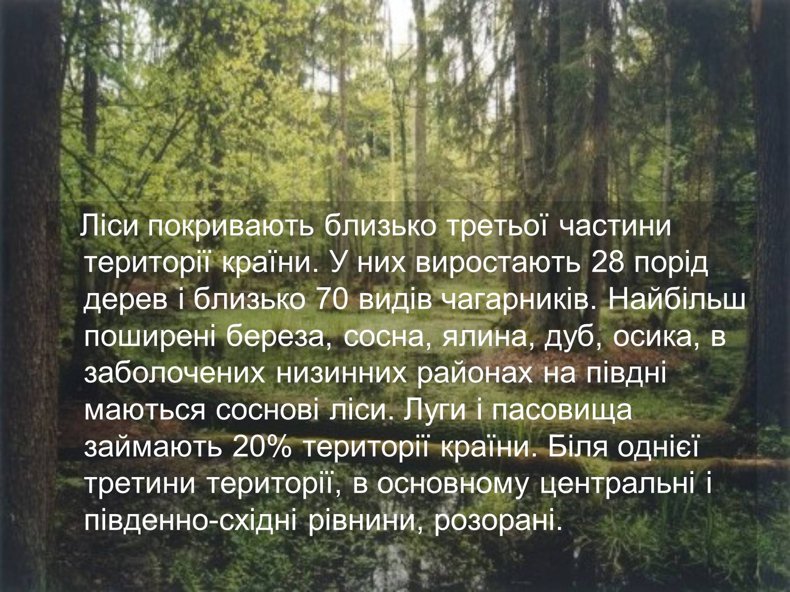 Презентація на тему «Білорусь» (варіант 6) - Слайд #8 Презентація на тему «Білорусь» (варіант 6) - Слайд #8