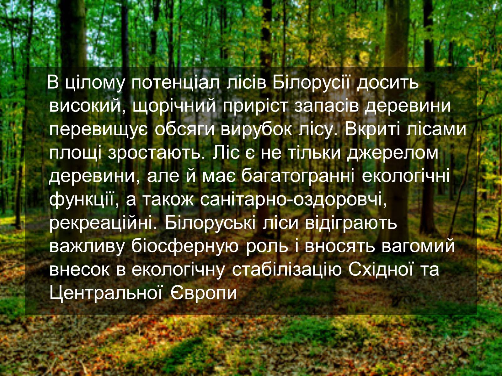 Презентація на тему «Білорусь» (варіант 6) - Слайд #9 Презентація на тему «Білорусь» (варіант 6) - Слайд #9