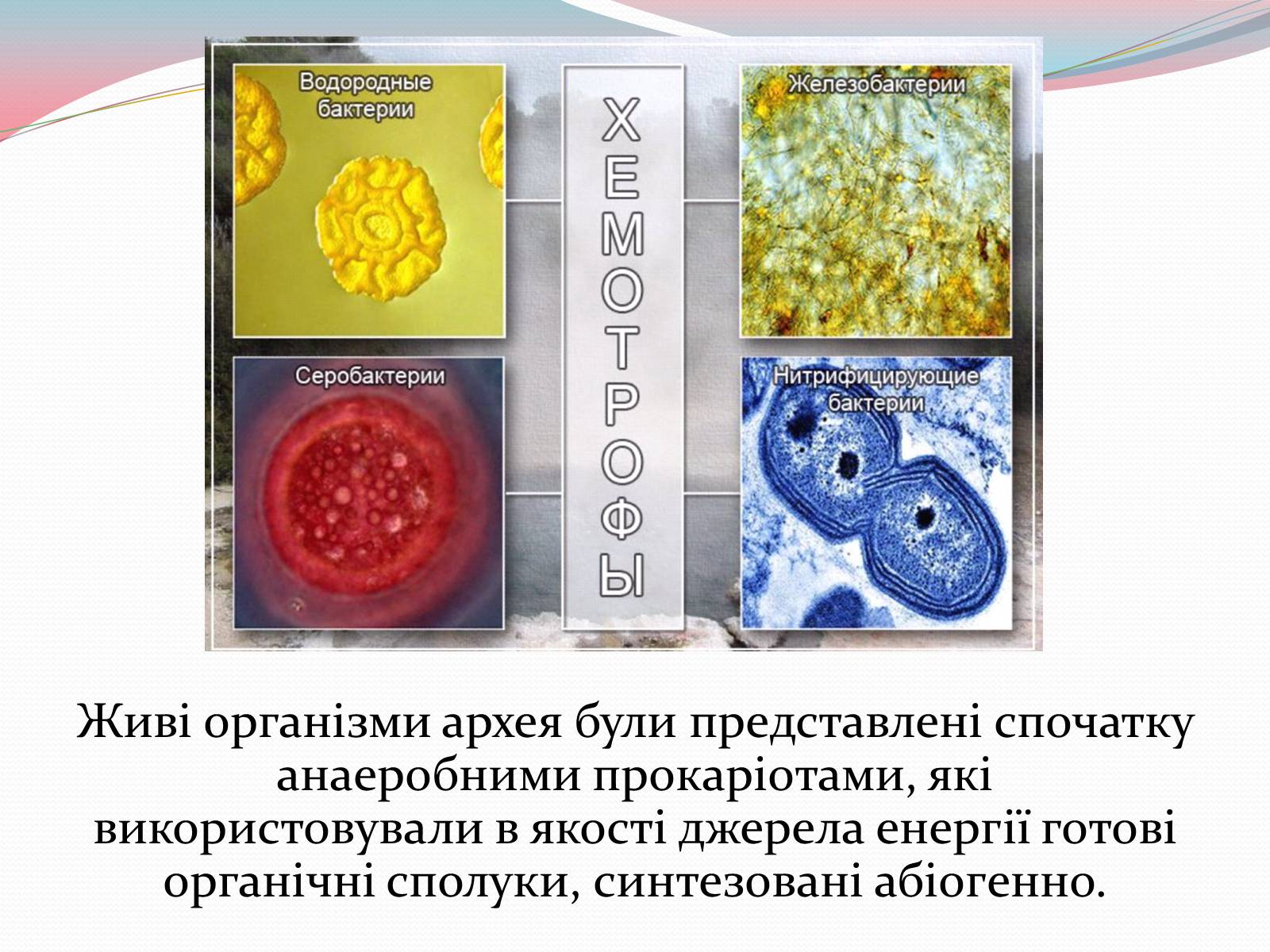 Презентація на тему «Геологічна історія Землі. Архейська ера» - Слайд #6 Презентація на тему «Геологічна історія Землі. Архейська ера» - Слайд #6