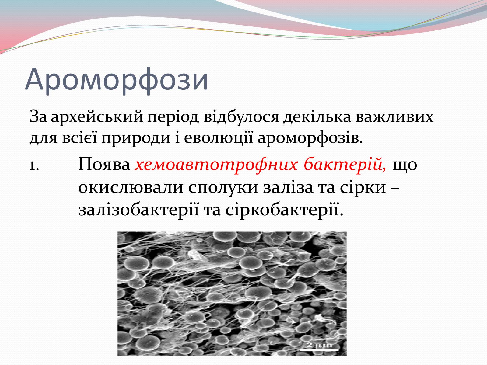 Презентація на тему «Геологічна історія Землі. Архейська ера» - Слайд #7 Презентація на тему «Геологічна історія Землі. Архейська ера» - Слайд #7