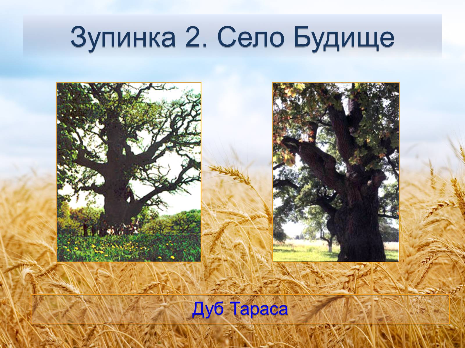Презентація на тему «Черкащина - серце України» - Слайд #7 Презентація на тему «Черкащина - серце України» - Слайд #7