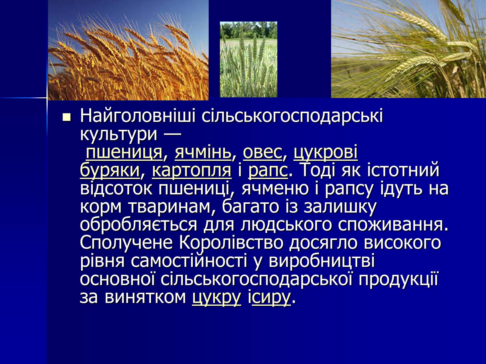Презентація на тему «Велика Британія» (варіант 2) - Слайд #32 Презентація на тему «Велика Британія» (варіант 2) - Слайд #32