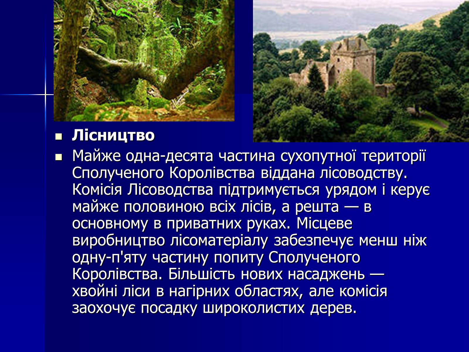 Презентація на тему «Велика Британія» (варіант 2) - Слайд #33 Презентація на тему «Велика Британія» (варіант 2) - Слайд #33