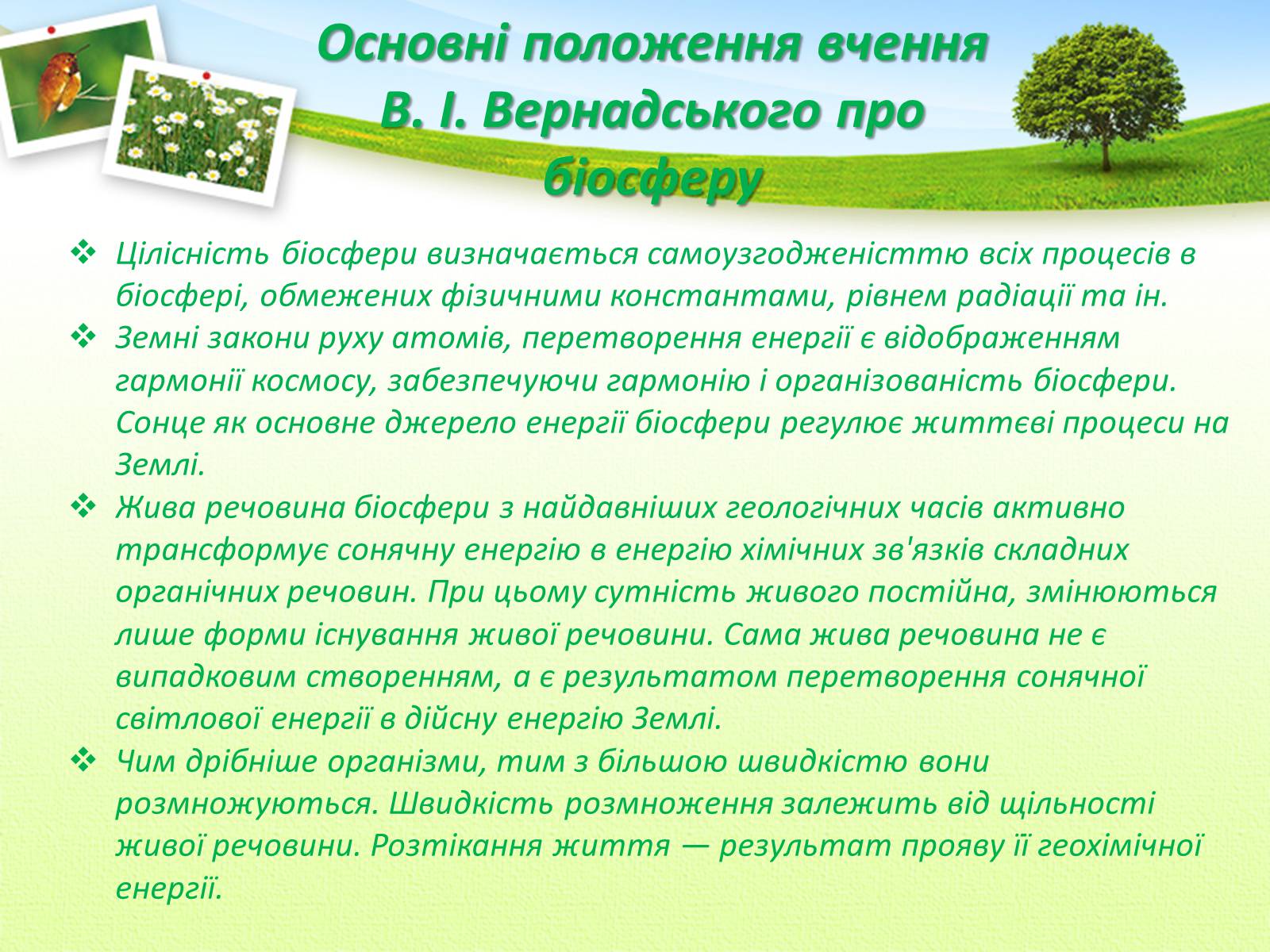 Презентація на тему «Вчення Вернадського Володимира Івановича про біосферу» - Слайд #13 Презентація на тему «Вчення Вернадського Володимира Івановича про біосферу» - Слайд #13