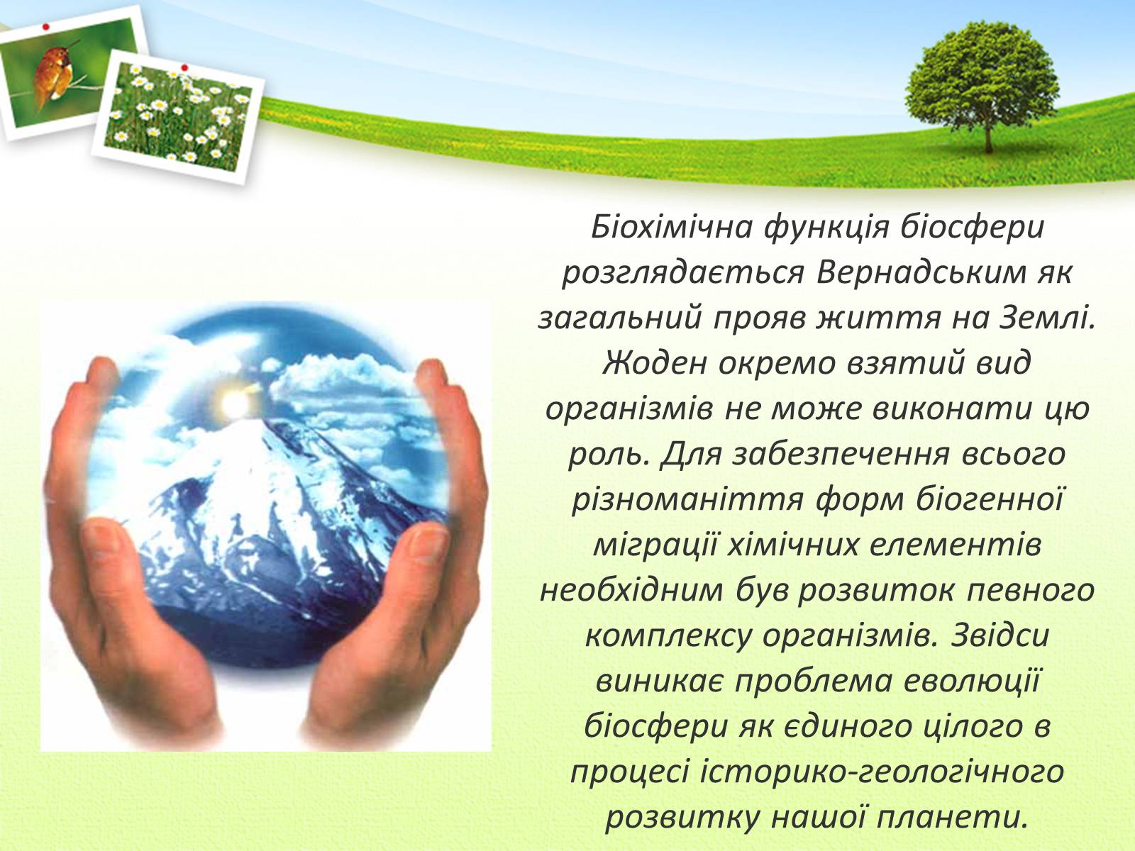 Презентація на тему «Вчення Вернадського Володимира Івановича про біосферу» - Слайд #9 Презентація на тему «Вчення Вернадського Володимира Івановича про біосферу» - Слайд #9