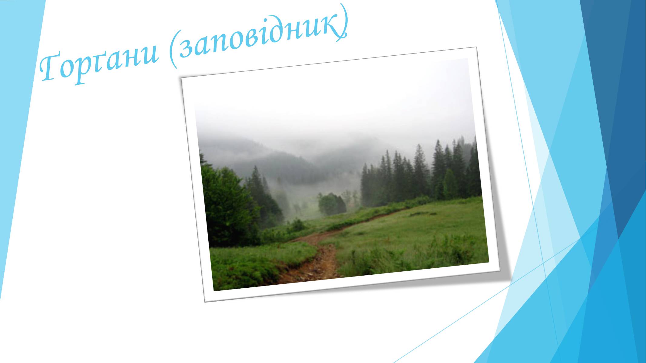 Презентація на тему «Ґорґани (заповідник)» - Слайд #1 Презентація на тему «Ґорґани (заповідник)» - Слайд #1